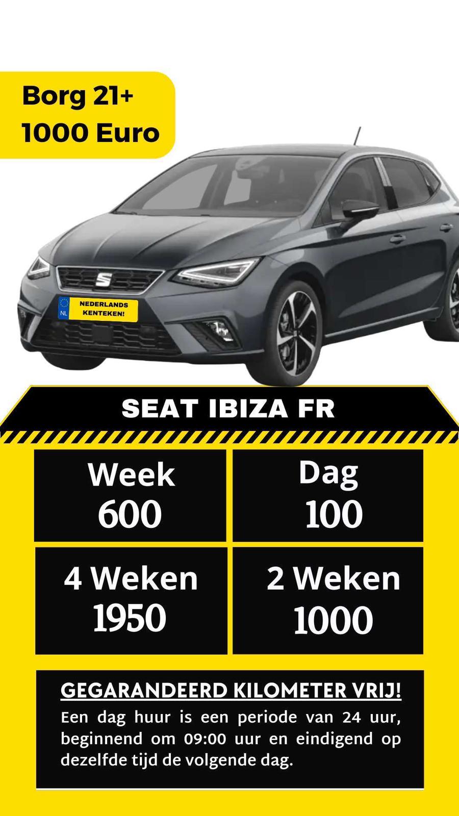 Seat Ibiza FR