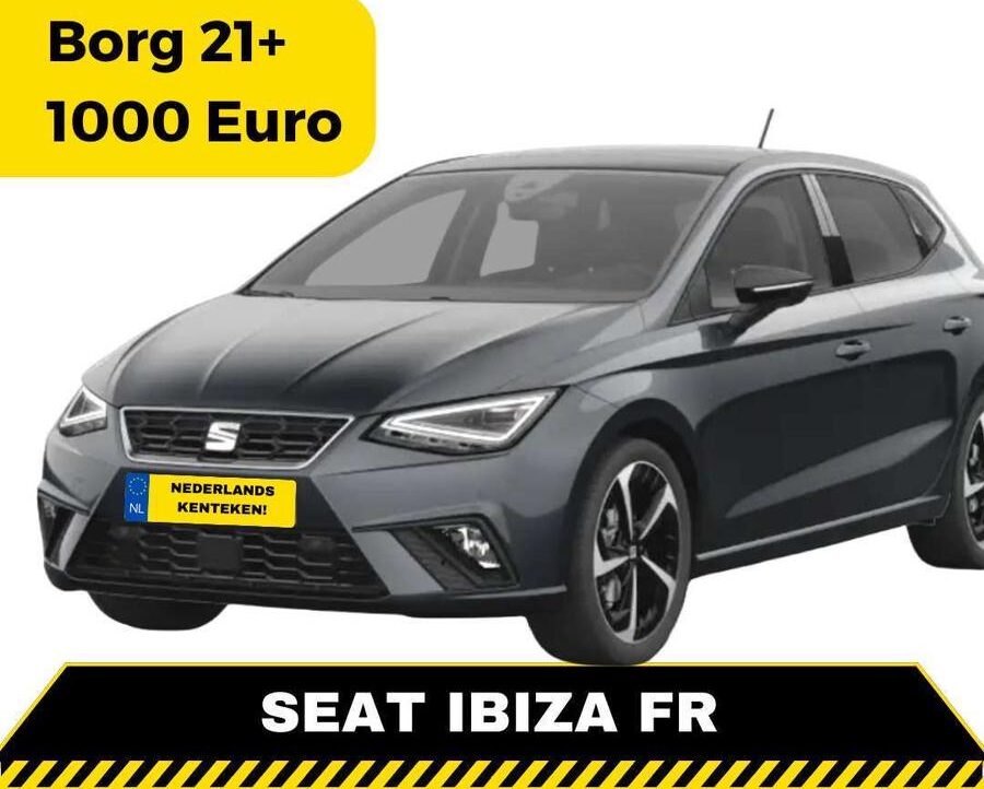 Seat Ibiza FR