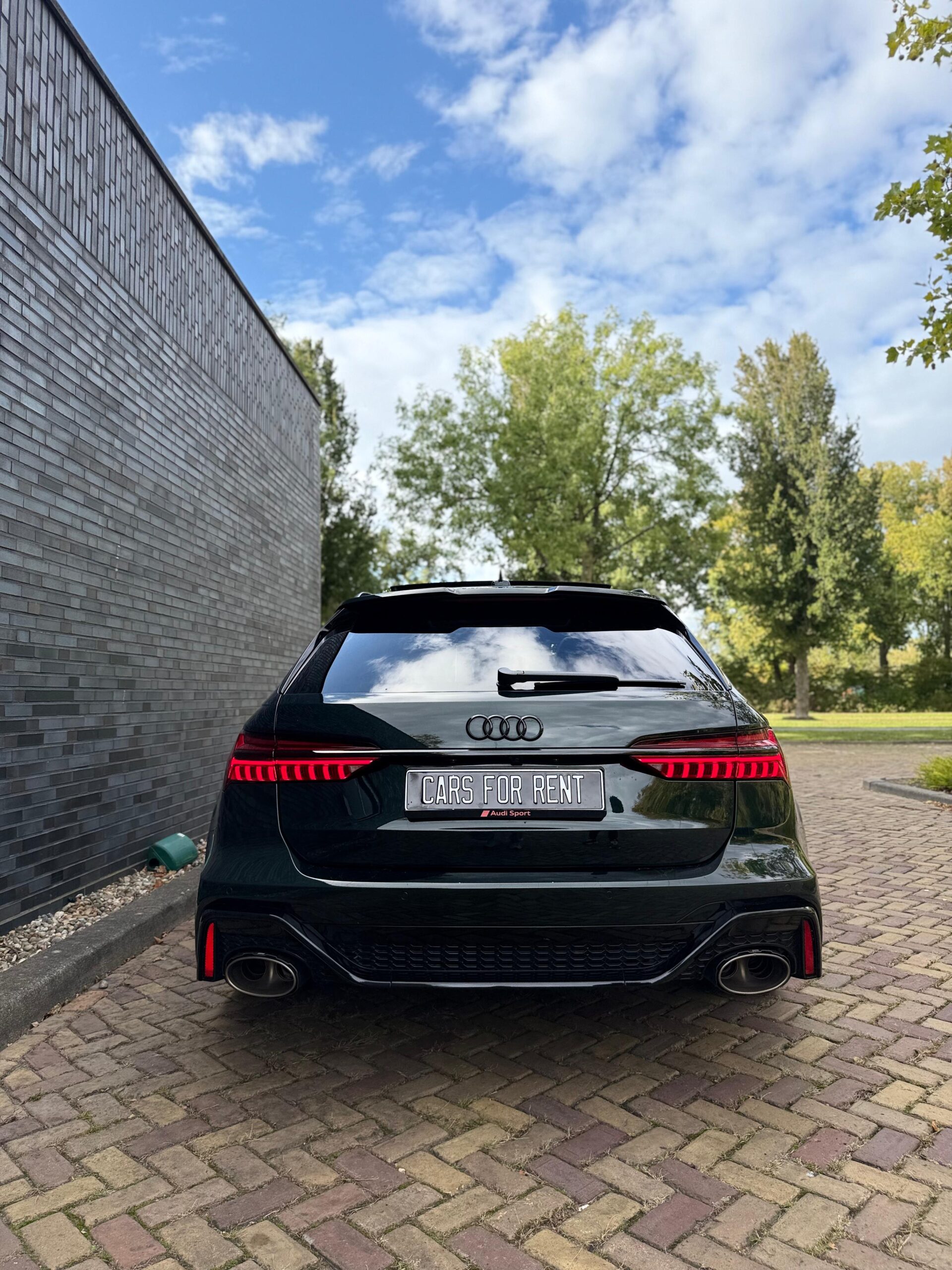 Audi RS6 Performance PANDA
